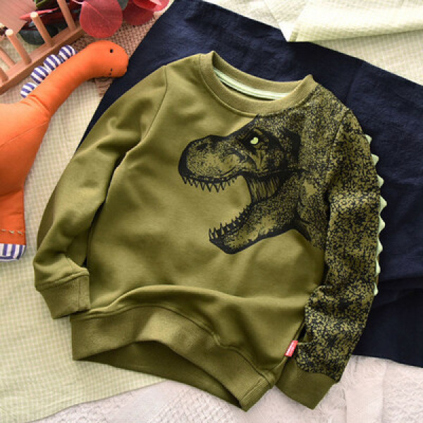 Dinosaur Print Pure Cotton Long Sleeve Boys Sweatshirt